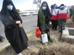 شرکت همکاران در مراسم روز درختکاری و کاشت نهال به نیت شهدای گرانقدر خوی در ارتفاعات امیربیگ 2
