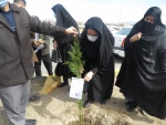 شرکت همکاران در مراسم روز درختکاری و کاشت نهال به نیت شهدای گرانقدر خوی در ارتفاعات امیربیگ 3