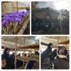 آشنایی با ایده ها و خلاقیتهای کارآفرینان زن 2